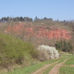 119-Schleuseninsel Nelben Blick Strauchsaum Hänge Roter Sandstein Bei Rothenburg-2