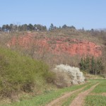 119-Schleuseninsel Nelben Blick Strauchsaum Hänge Roter Sandstein Bei Rothenburg-2