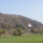119-Schleuseninsel Nelben Blick Strauchsaum Hänge Roter Sandstein Bei Rothenburg-4