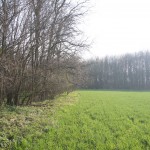 124-Severin Bei Gnölbzig Am Ostrand Acker Blick Nach Süden