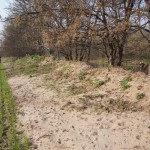 128-Severin Bei Gnölbzig Am Nordrand Acker Blick Nach Westen-3