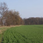 129-Severin Bei Gnölbzig Am Nordrand Acker Blick Nach Osten