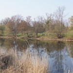 130-Severin Bei Gnölbzig Am Nordrand Acker Blick Nach Norden Park Trebnitz