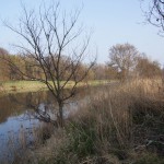 131-Severin Bei Gnölbzig Am Nordrand Acker Blick Nac hNordoste Park Trebnitz