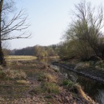 132-Severin Bei Gnölbzig Am Westrand Durchstich Am Nordrand Saalealtarm-1