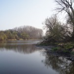 134-Severin Bei Gnölbzig Am Westrand Saalealtarm Nordrand Blick Nach Südosten-1