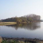 134-Severin Bei Gnölbzig Am Westrand Saalealtarm Nordrand Blick Nach Südosten-2