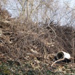 17-Vermüllung Am Nordostrand Park Piesdorf-3