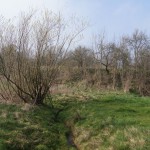 3-Schlackenbach Zwischen Belleben Park Piesdorf Bachabwärts