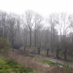 22-Kopfweiden Im Tal Schlackenbach In Piesdorf Mit Blick Brücke K2112-1