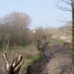 23-Blick In Tal Schlackenbach In Piesdorf Mit Blick Nach Nordwesten Von Brücke K2112-4