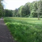 24-NSG Burgaue Weg & Wiese Südlich Der Polenz Blick Nach Westen