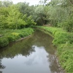 26-Bernburg Brücke Am Kesselbusch Blick Wipper Aufwärts (1)