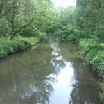 27-Bernburg Brücke Am Kesselbusch Blick Wipper Abwärts Bis Mündung In Saale (1)