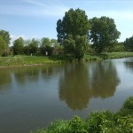 3-Bernburg Saaleufer Dröbel Dessauer Straße Blick Dröbelscher Busch nach Nordosten