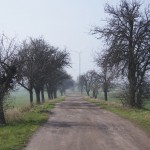 31-Weg Von Piesdorf Nach Gerbstedt Mit Feld Windräder In Richtung Südwesten