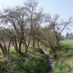 57-Lohbach Zwischen Gerbstedt Zabenstedt Parallel L158 Aufwärts