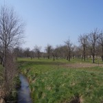 70-Zabenstedt Blick Von Brücke Nach Einmündung Lohbach In Schlenze Aufwärts-3