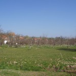 78-Zabenstedt Einmündung Lohbach In Schlenze Blick Von Westen