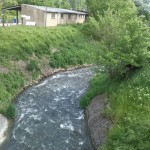 8-Blick Von Brücke Köthensche Straße Fuhneabwärts Unweit Mündung In Saale