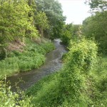 9-Blick Von Ufer Köthensche Straße Zu Mündung Fuhne In Saale (2)