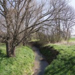 90-Adendorf Schlenze Abwärts Im Bereich Lindenweg Schlenzetaler Straße