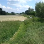 14-Blick Bodeaue Nach Osten Löbnitz Nördlich Bodebrücke Nach Hohenerxleben (2)