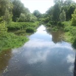 20-Brücke Mühlgraben An Mühle Neugattersleben & Einmündung In Bode (2)