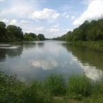 30-Nienburg Mündung Bode In Saale Blick Nach Norden & Zur Sprohne Am Nordostufer (2)