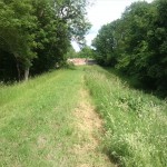 36-Sprohne Im Südostteil Deich Blick Nach Osten & Waldfrieden (2)