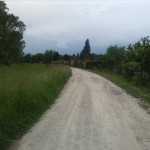 42-Südost Weg Lippoldeswerder Mit Kleingarten Im Südosten Blick Von Nordost (2)