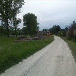 43-Südost Weg Lippoldeswerder Mit Kleingarten Im Südosten Blick & Alte Saale Im Südosten Von Nordost (2)