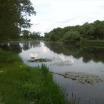 46-Blick Von Südwest Zu Alter Saale Im Südosten Lippoldeswerder (2)