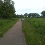 49-Blick Nach Südosten In Richtung Bernburg Saaleradweg Zwischen Nienburg & Bernburg (1)