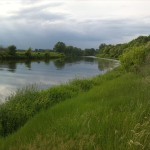 51-Blick Von Saaleradweg Zwischen Nienburg & Bernburg Saaleabwärts Abschnitt Zwischen Grimschleben & Latdorf (1)