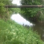 61-Blick Fuhneaufwärts Nach Süden Unter Brücke Köthensche Straße (1)