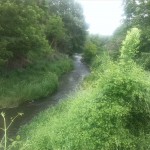 65-Blick Zur Mündung Von Fuhne In Saale Von Köthensche Straße In Höhe Fuhnebrücke (4)