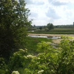 7-Bodeaue Zwischen Stassfurt & Hohenerxleben Flussabwärts In Richtung Hohenerxleben (2)