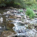 11-Nordhausen Zorge Sohlgleite Überlauf Flussabwärts Östlich Lützowstraße (2)