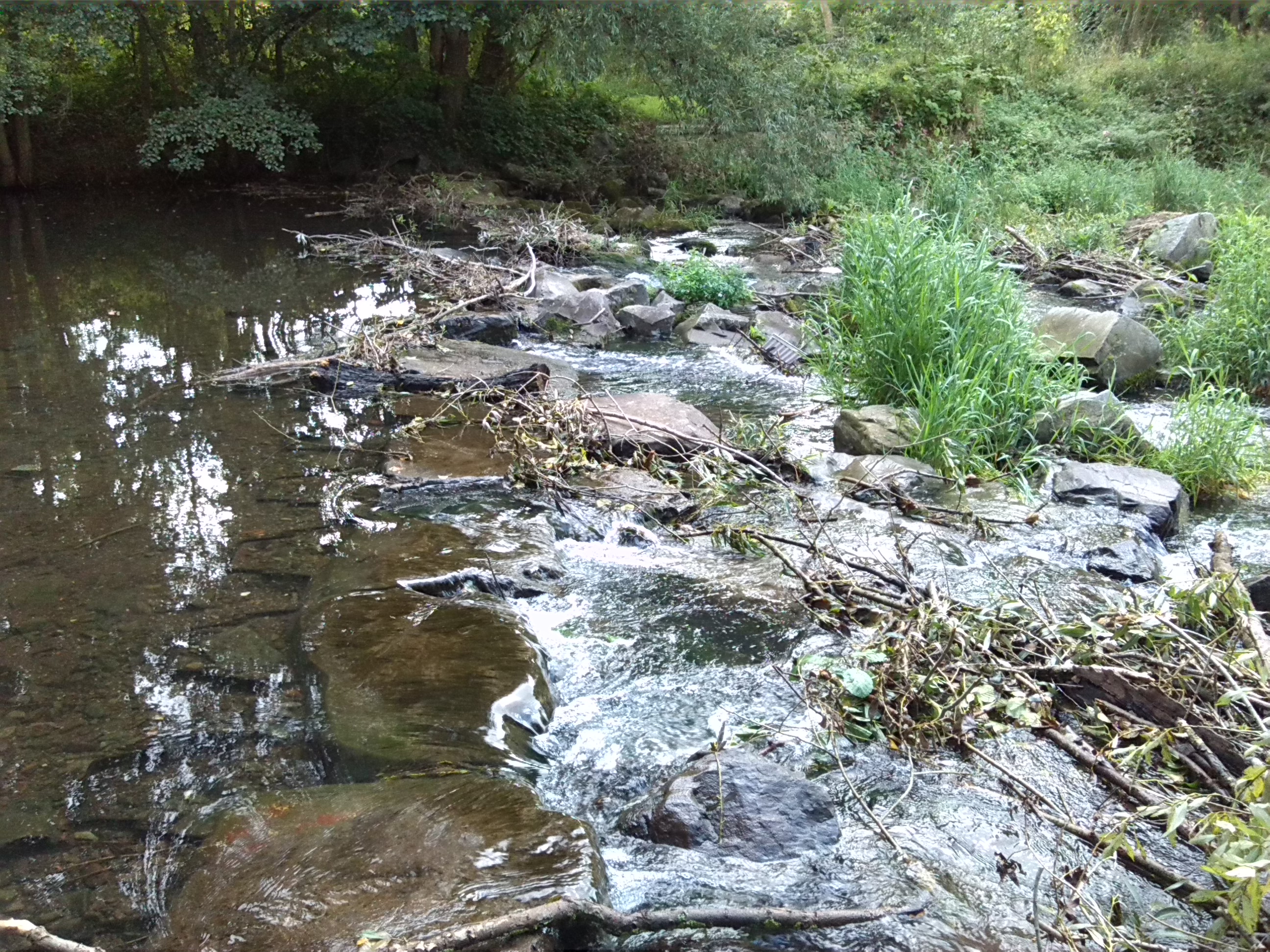 11-Nordhausen Zorge Sohlgleite Überlauf Flussabwärts Östlich Lützowstraße (2)