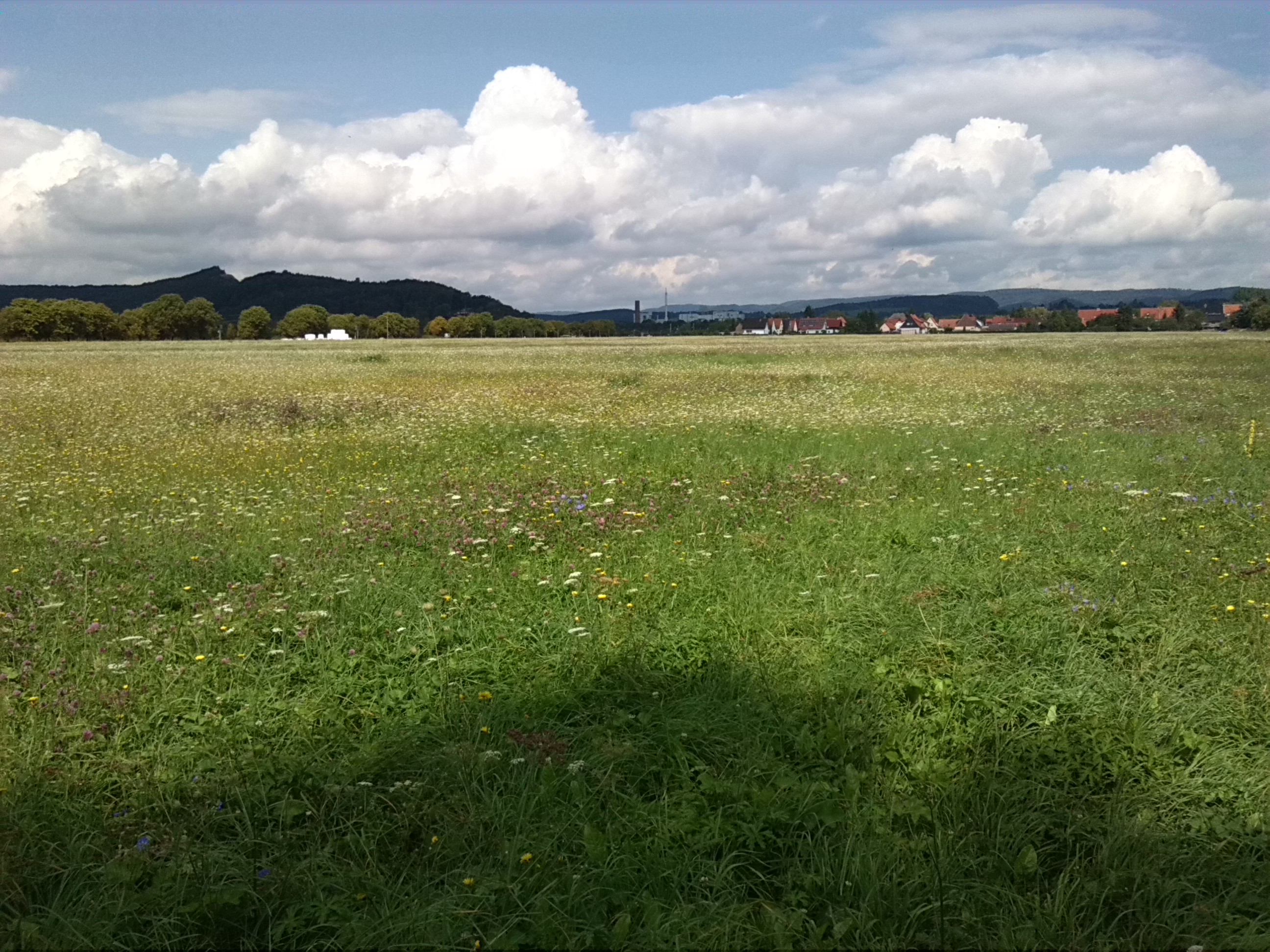 14-Nordhausen Wiese Nördlich Lützowstraße Blick Krimderode Nördlich Zorge (1)