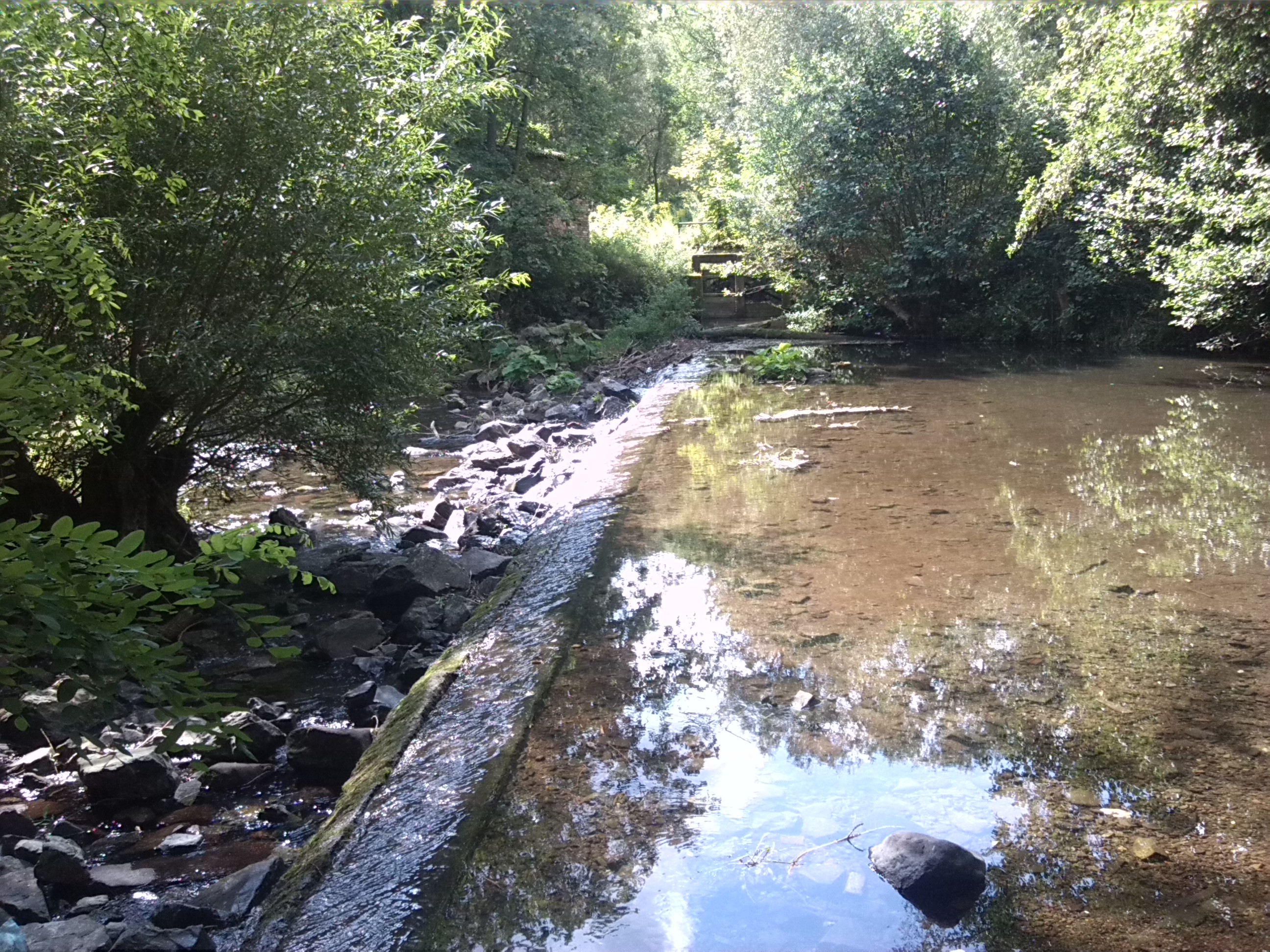 19-Nordhausen Obersalza Schnabelsmühle Aufstau Zorge Kohnsteinwehr Krimderode (1)