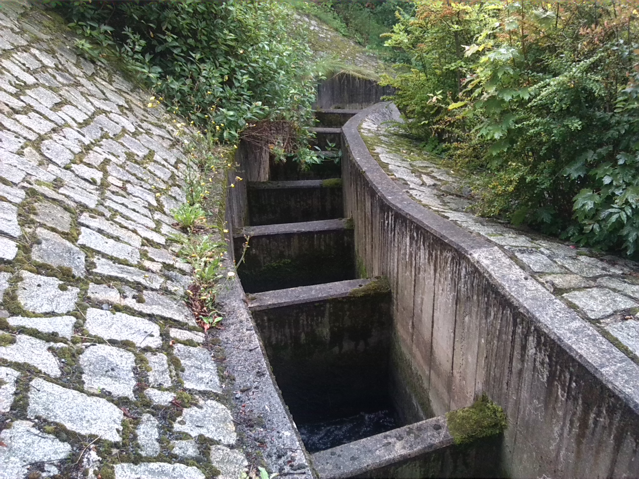 34-Nordhausen Fischtreppe Am Zorgewehr Am Hartmannsdamm Flussabwärts (2)