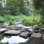 9-Nordhausen Zorge Sohlgleite Blick Flussabwärts Östlich Lützowstraße (1)