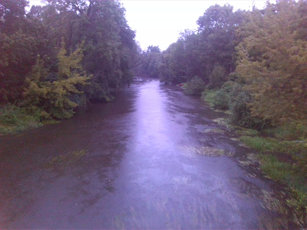 110-Halle Weiße Elster flussabwärts Brücke B91 (4)