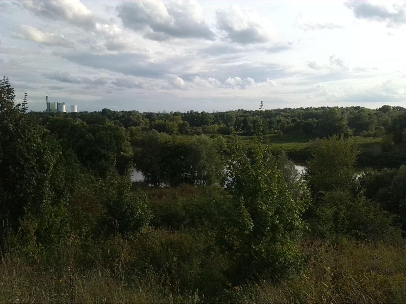13-Blick Von Aussichtsunterstand Halle Silberhöhe Über Mündung Weiße Elster In Saale Nach Korbetha & zur Abtei (1)