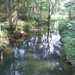 14-Blick Von Brücke Seegeritzer Weg Nordwestrand Weinberg Auf Parthe Aufwärts (2)