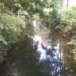 15-Blick Von Brücke Seegeritzer Weg Nordwestrand Weinberg Auf Parthe Abwärts (2)