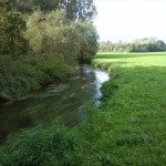19-Seegeritz Parthe Unweit Einmündung Hasengraben Flussabwärts (2)