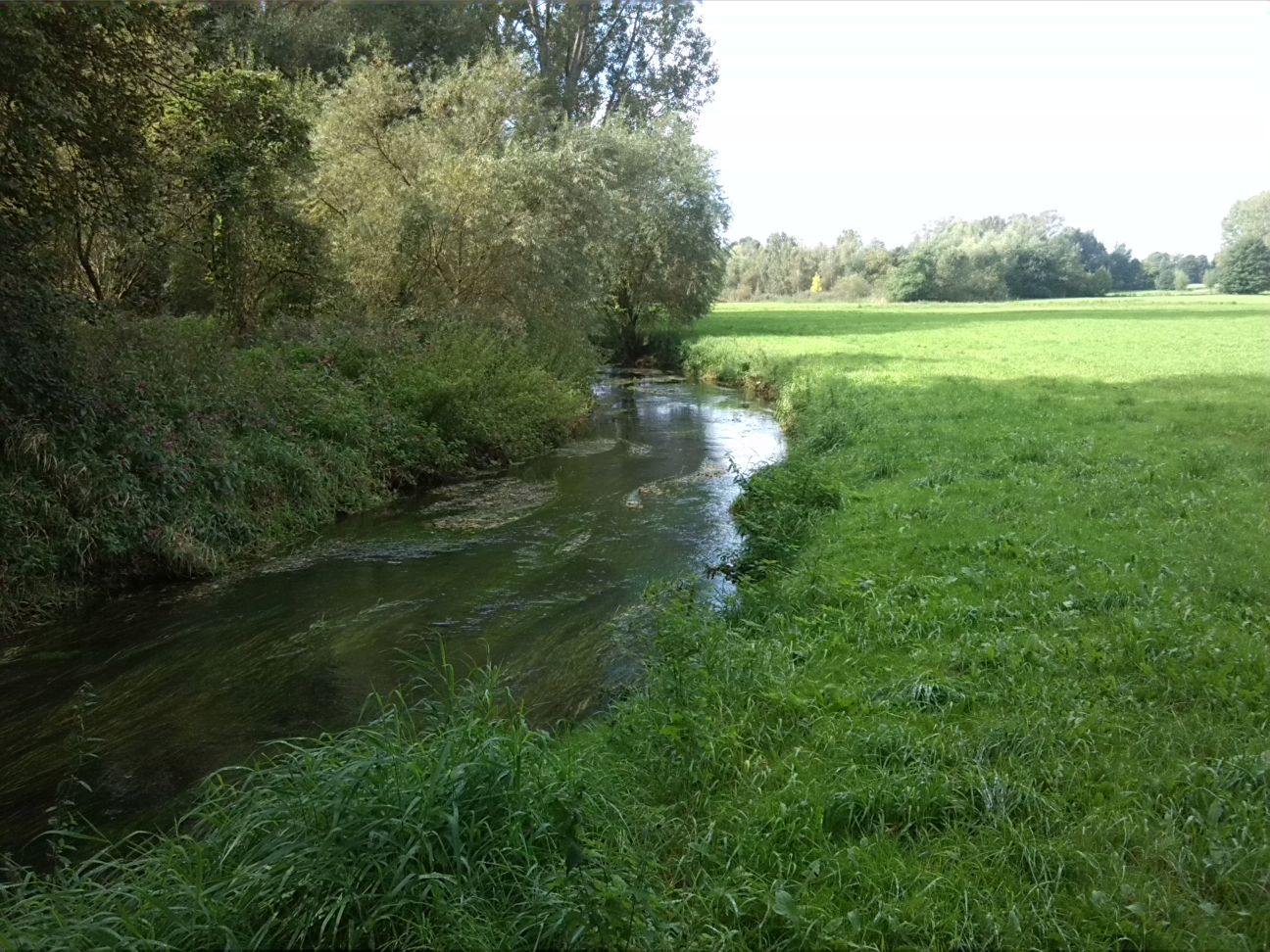 19-Seegeritz Parthe Unweit Einmündung Hasengraben Flussabwärts (2)